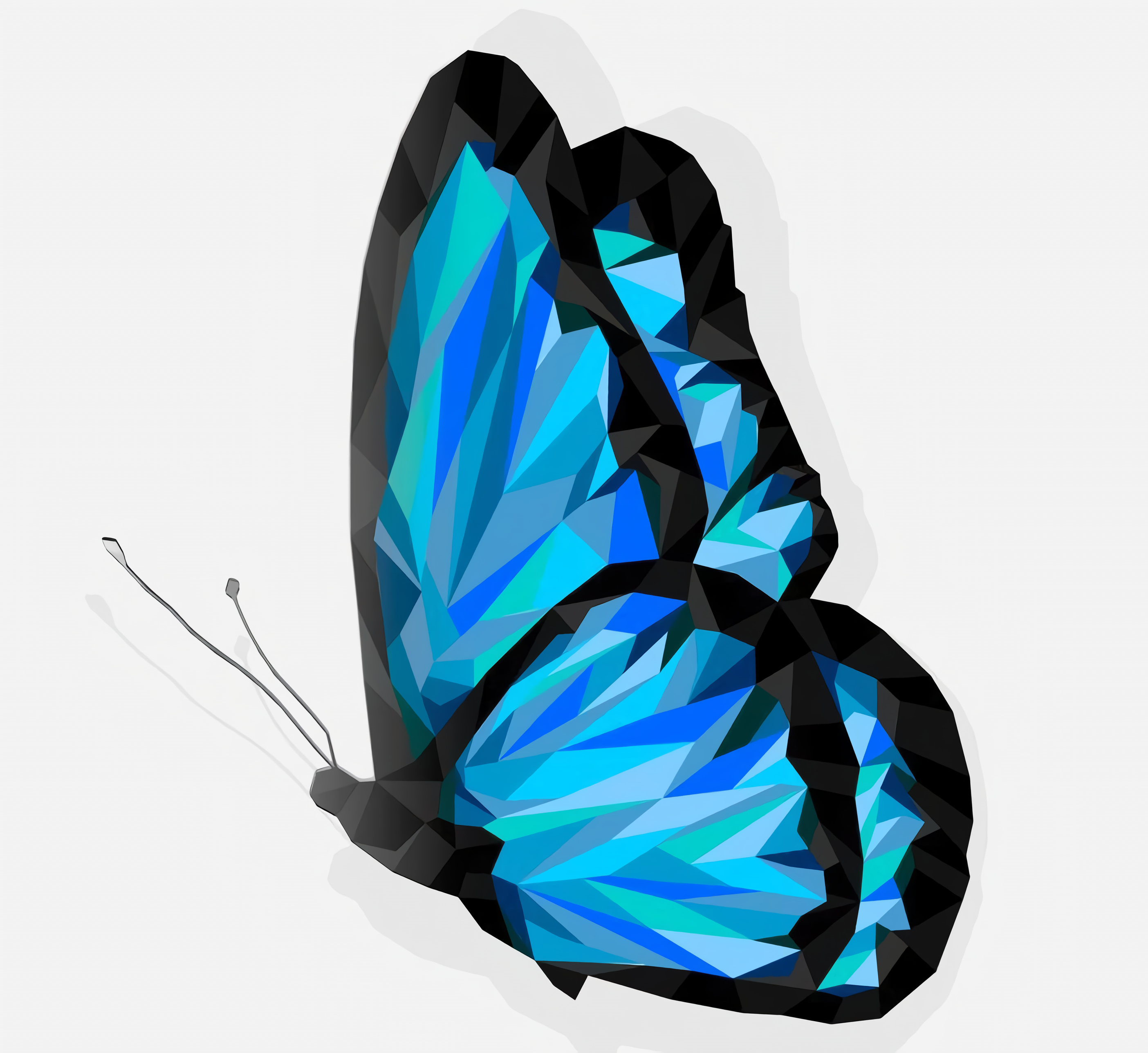 butterfly image
